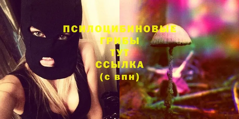 Псилоцибиновые грибы MAGIC MUSHROOMS  гидра ссылки  Тосно 